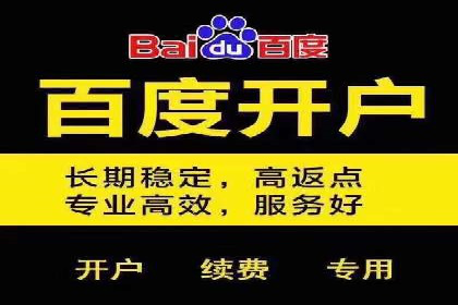 案例分享：网络推广竞价策略应用